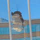 Illustration for article titled Turkey Vulture Flies Through Stephen A. Smiths Office Window In Attempted Bird-On-Bird Violence